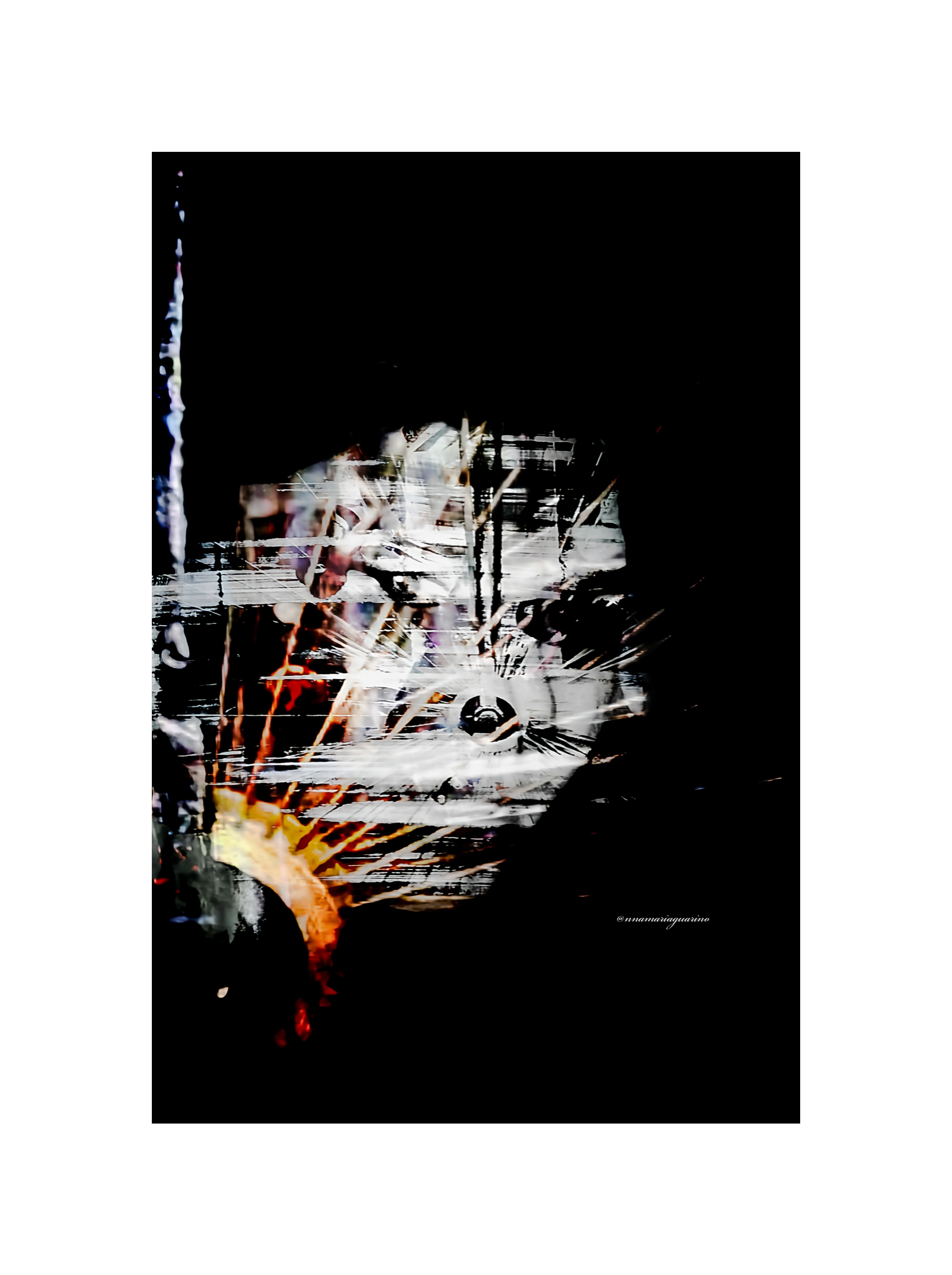 Rendere visibile ciò....